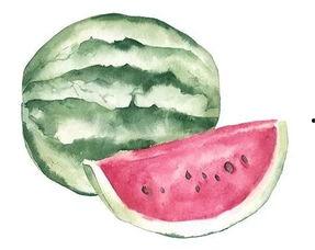 天子吃瓜切几伴,切几伴？揭秘宫廷美食背后的故事