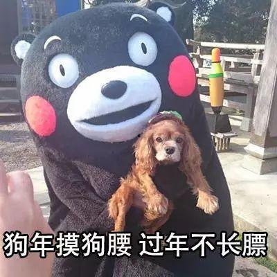 瓜哥带你吃大瓜搞笑内容,欢乐无限