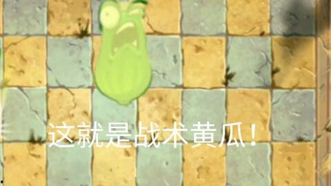 小僵瓜怎么吃,解锁美味新体验