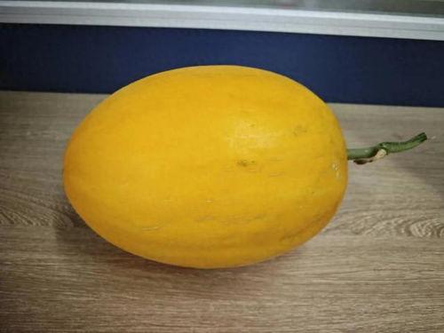 桂林路长春吃瓜,街头吃瓜，品味市井生活百态