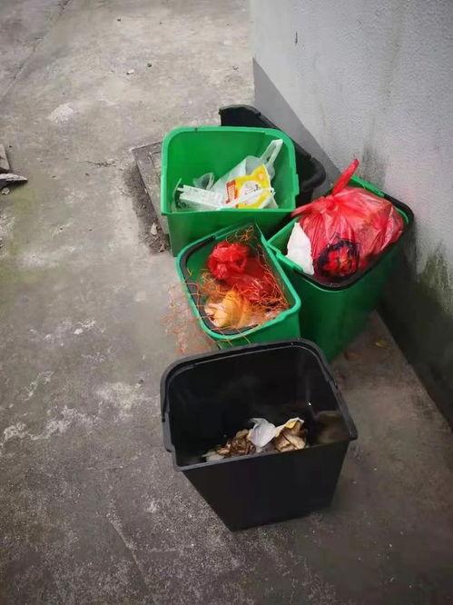 龙湾吃瓜,一场别开生面的吃瓜盛宴