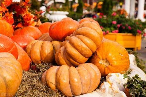 吃瓜别被抓,警惕网络言论风险，避免“被抓”风波