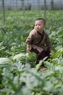 吃瓜娃子的图片,一场视觉盛宴