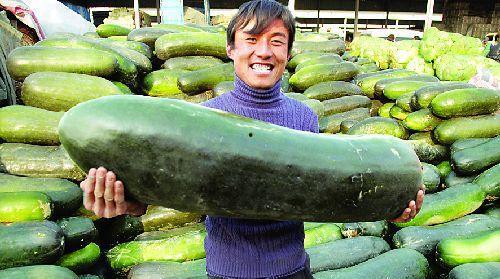 吃内脏是啥瓜,探寻美食背后的文化内涵