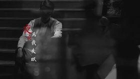 静静地看着吃瓜,品味人生百态