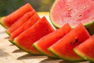 在水边吃瓜视频,夏日休闲新风尚