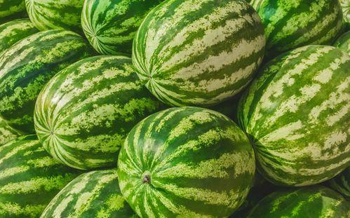 在水边吃瓜视频,夏日休闲新风尚