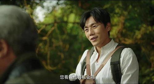 悬疑小说吃瓜,揭开真相的神秘之旅