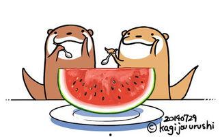 小熊吃瓜怎么画,小熊吃瓜的欢乐时光