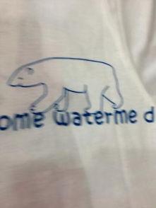 小熊吃瓜怎么画,小熊吃瓜的欢乐时光