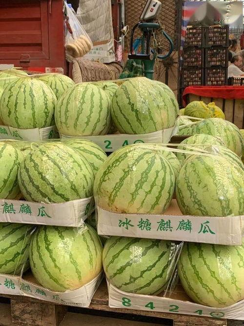 直播吃瓜真假,真假难辨，揭秘网络直播的虚与实