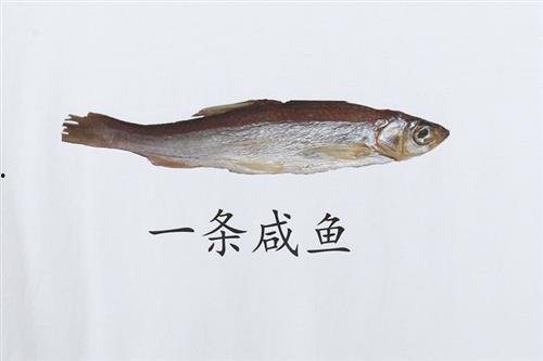 咸鱼带你吃瓜,揭秘娱乐圈那些事儿