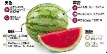 微信吃瓜渠道免费吃瓜,轻松成为吃瓜群众！