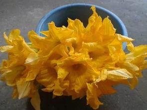 吃瓜花酿视频,揭秘网红美食背后的制作奥秘