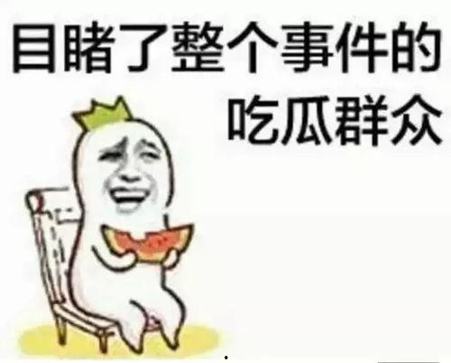 吃瓜作业,揭秘吃瓜作业背后的趣味与智慧