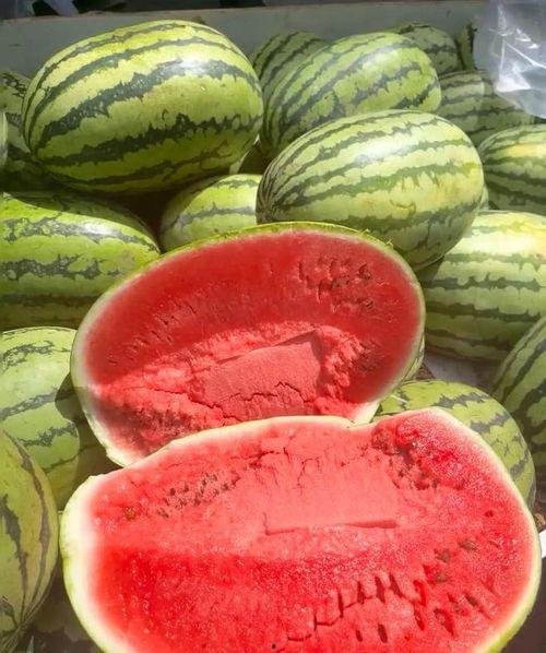 米脂让全国吃瓜,一场引发全国热议的“吃瓜”盛宴