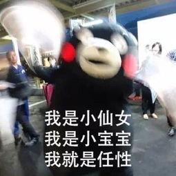 ryan吃瓜,揭秘娱乐圈幕后故事