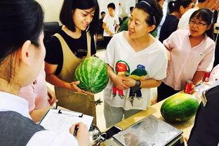 吃瓜群众3986,一场全民热议的幕后故事