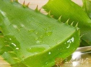 怀孕初期角瓜可以吃么,角瓜的适宜食用指南