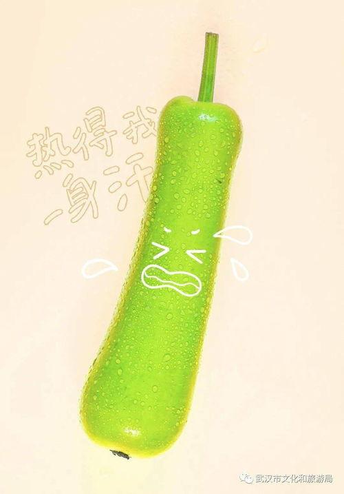 澄清式吃瓜,网络舆论场中的真相追寻与理性思考