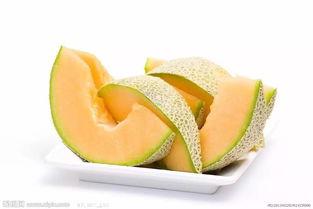 米粒吃哈密瓜,一场甜蜜的邂逅