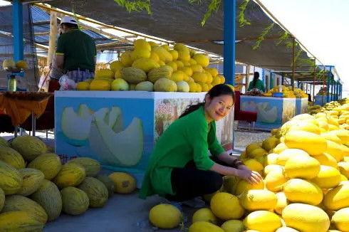 到瓜州去哪里吃瓜,探寻当地特色瓜果美食之旅
