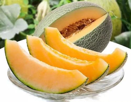 到瓜州去哪里吃瓜,探寻当地特色瓜果美食之旅