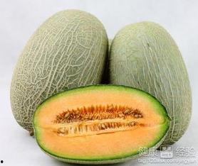 吃哈密瓜可以吃蒲公英吗,探索夏日消暑美食的奇妙组合