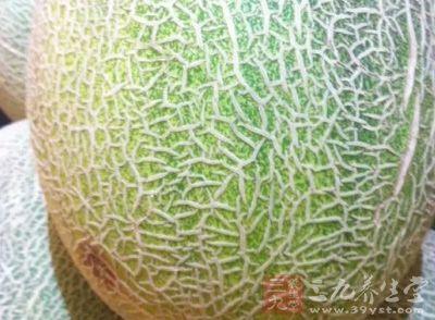 吃哈密瓜可以吃蒲公英吗,探索夏日消暑美食的奇妙组合