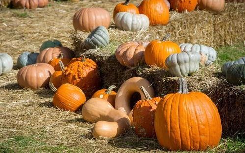 陵南吃瓜,揭秘娱乐圈背后的那些事儿