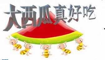 不悔吃瓜ppt,揭秘网络热点背后的真相与趣味