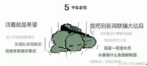 夸哥带你吃瓜,畅游吃瓜盛宴