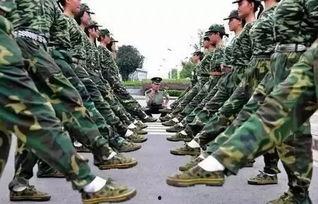 军训前吃瓜,吃瓜群众如何度过悠闲时光？