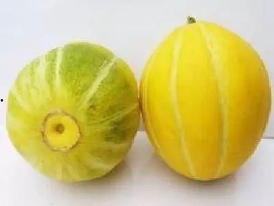 湖州直播吃瓜,一场视觉盛宴与美食之旅