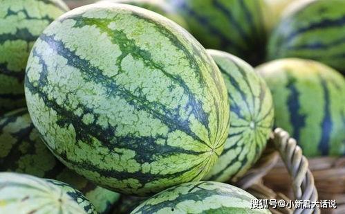 能隔夜吃的瓜,盘点那些隔夜仍美味不减的瓜类美食