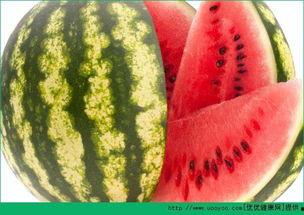 可以天天吃的瓜,轻松享用的健康生活指南