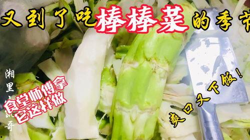 南京老师吃瓜,一场校园风波的幕后真相