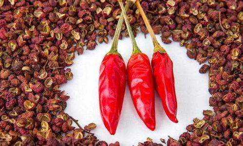 51吃瓜apo,揭秘娱乐圈幕后真相，带你领略明星们的真实生活