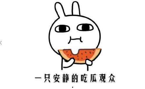 吃瓜就吃大瓜什么意思,网络流行语的趣味解读