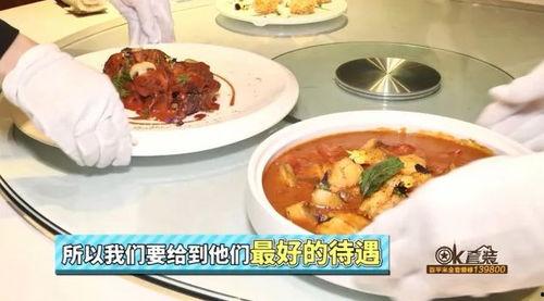 吃瓜宝典谢灵,揭秘吃瓜宝典背后的神秘力量