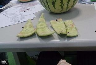 梦见同事给瓜吃,同事赠瓜背后的寓意解析