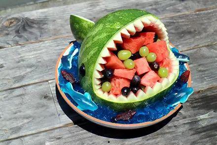 吃瓜的鲨鱼,揭秘海洋中的“八卦”世界