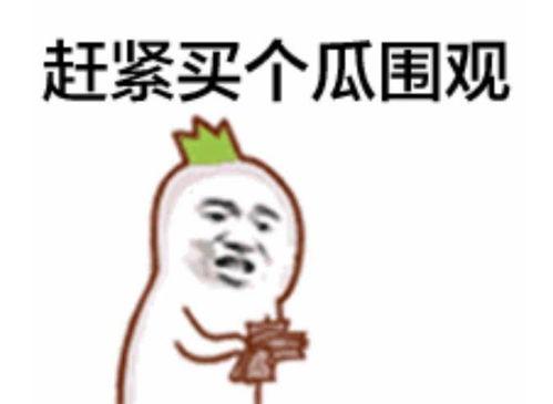 吃瓜群众程小姐,揭秘娱乐圈那些事儿