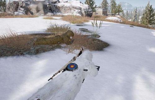 雪地里吃三白瓜好吗,三白瓜的冬季享用指南