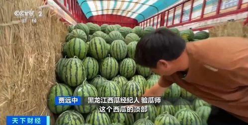 尾货吃瓜,吃瓜群众的购物狂欢盛宴