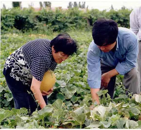 吃瓜青农,揭秘农村新势力背后的故事