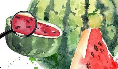 什么是吃瓜心态,网络围观背后的心理现象