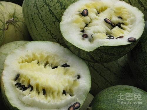 籽瓜种可以吃吗,美味可口的食用新选择