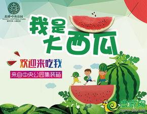 北湖吃瓜俱乐部,揭秘娱乐圈幕后故事，带你领略娱乐风云