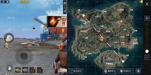 和平绿洲吃瓜直播,瓜田里的欢乐时光